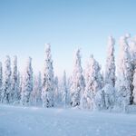 雪
