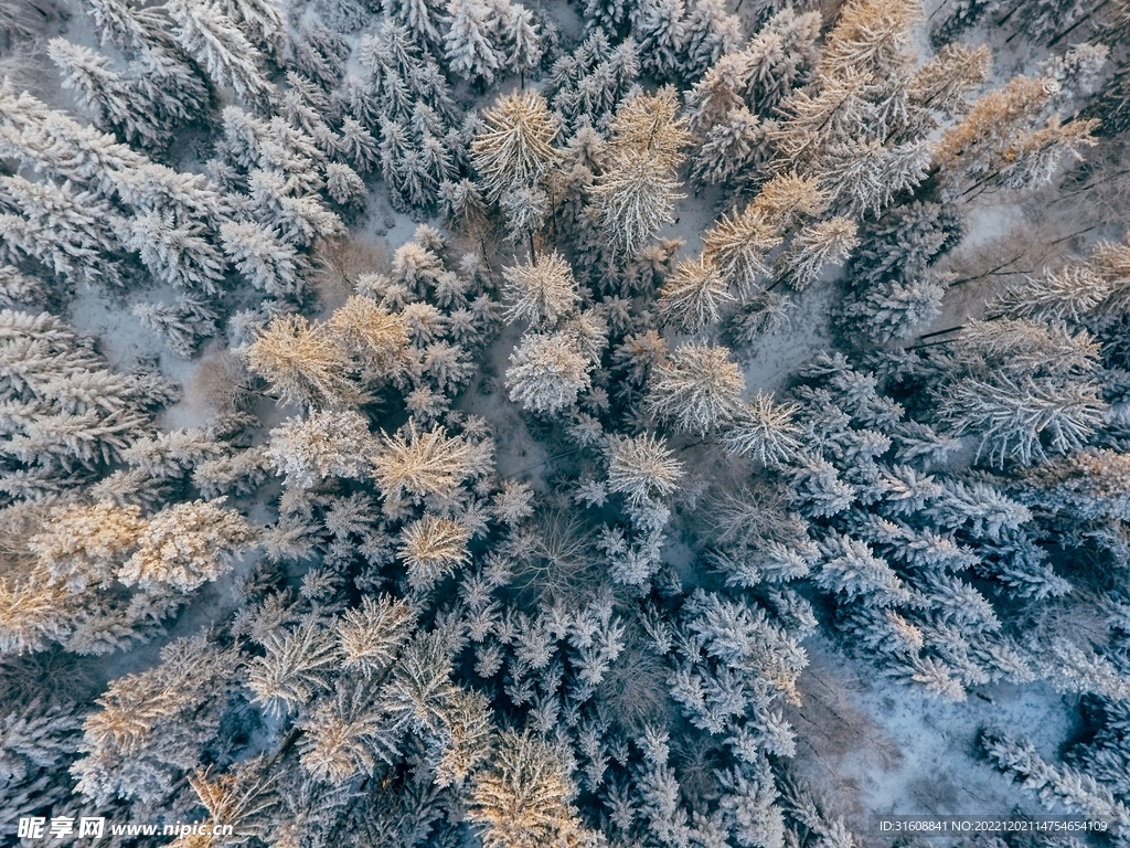 雪