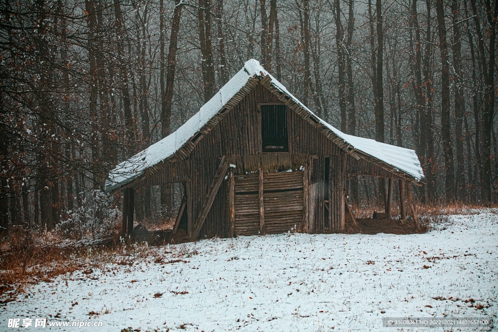 雪
