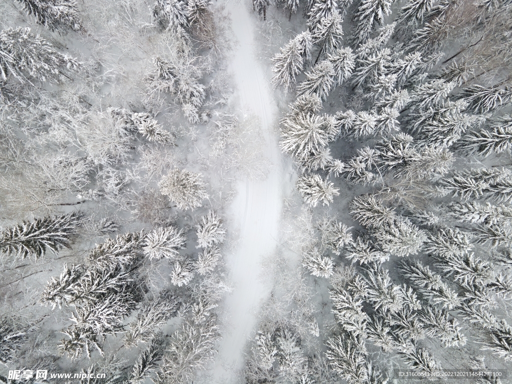 雪