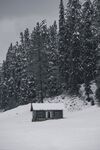 雪白