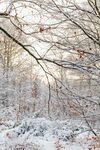 雪
