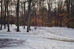 雪