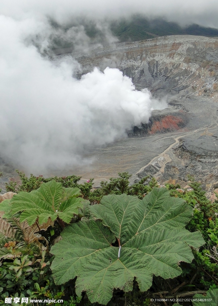 火山 