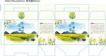 油菜花包装 展开平面图