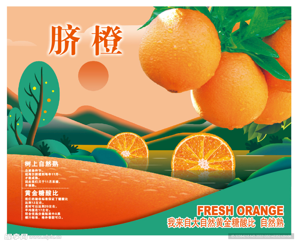 脐橙
