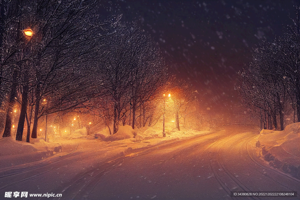 夜晚下雪景色 