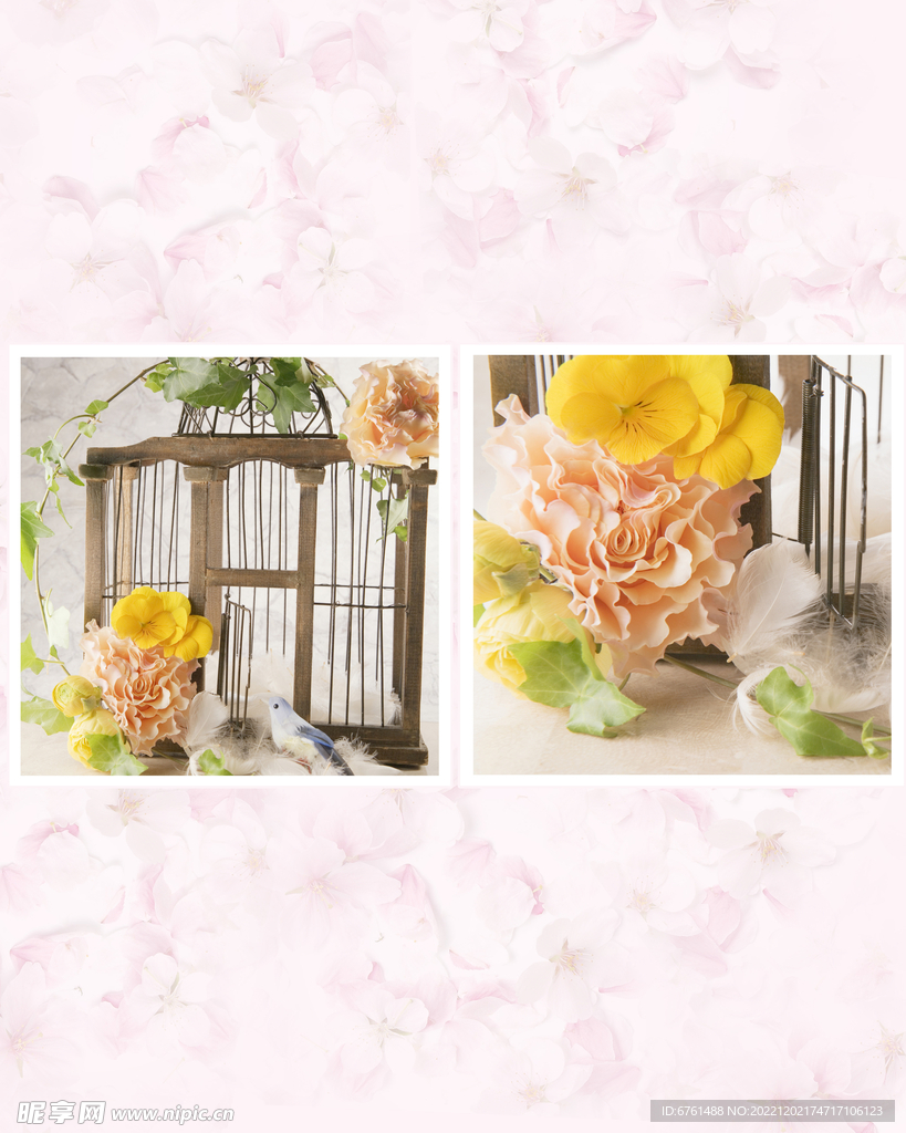 花朵图片