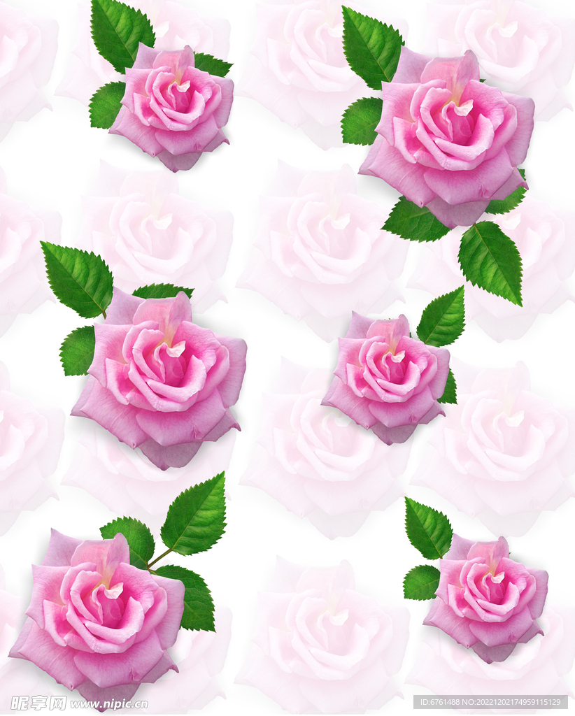玫瑰花图