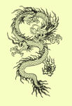龙