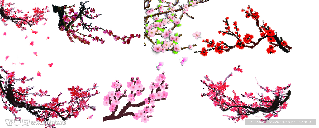 梅花