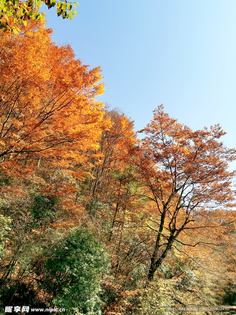 巴中光雾山风光