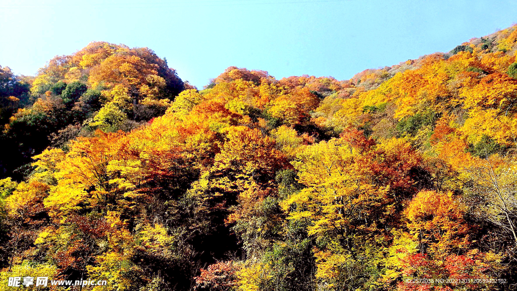 巴中光雾山风光