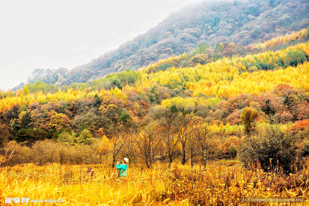 巴中光雾山风光