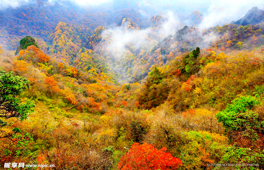 巴中光雾山风光