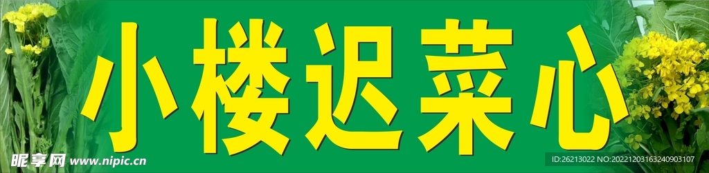 迟菜心