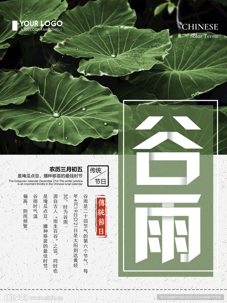 谷雨海报图片
