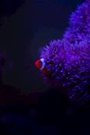 海底 
