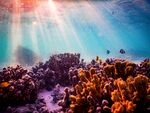 海底 