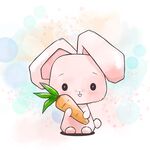 兔子插画