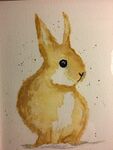 兔子插画