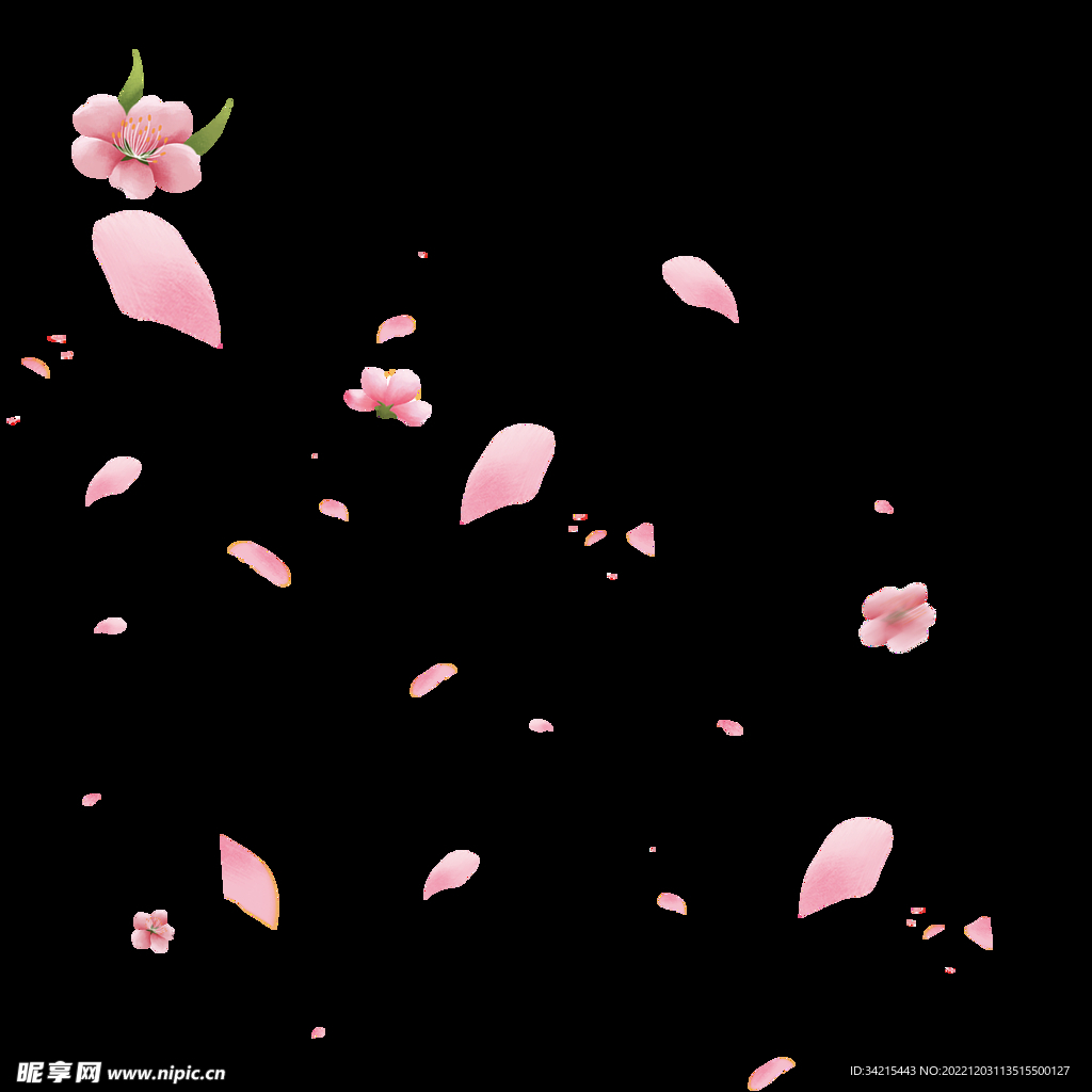 飘花