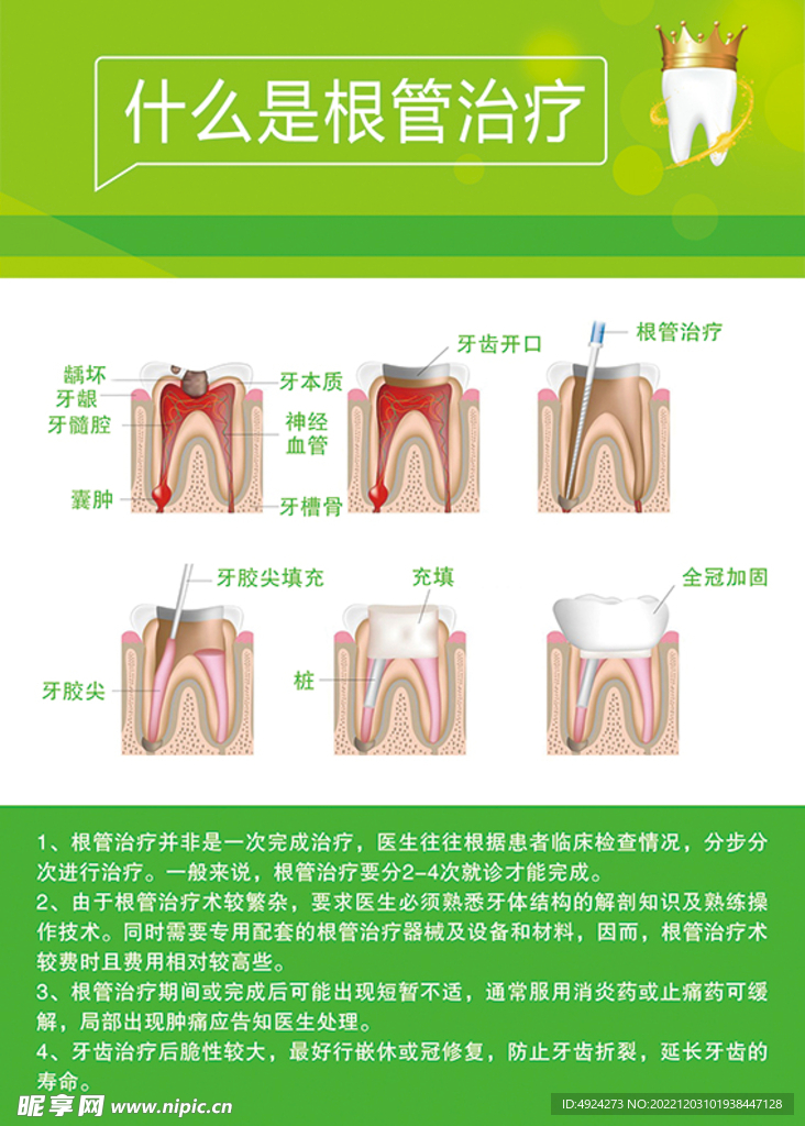 牙医展板