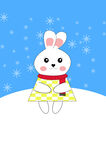 冬天雪地里的小兔子