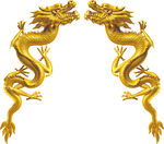 金色的龙