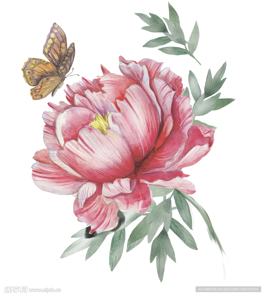 手绘花卉