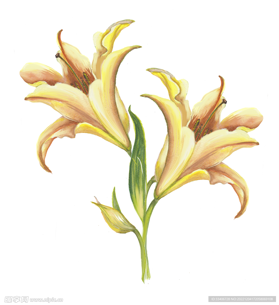 手绘花卉