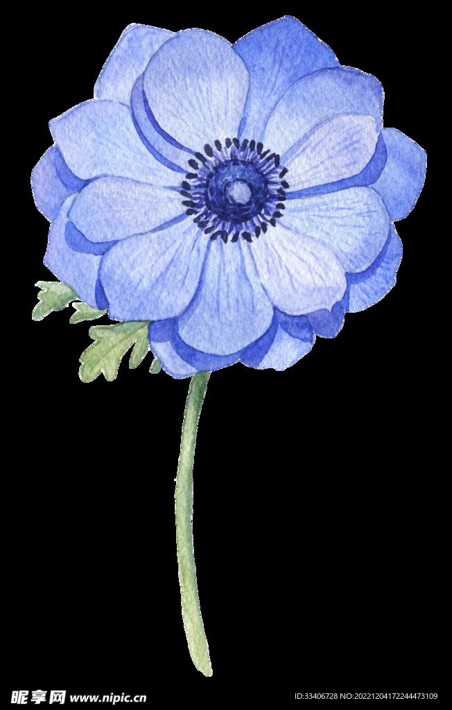 手绘花卉