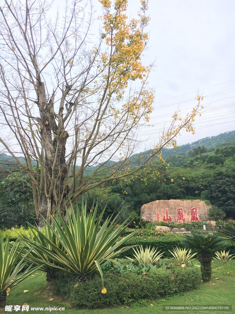 凤凰山深圳自然风景