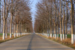 乡村公路美景