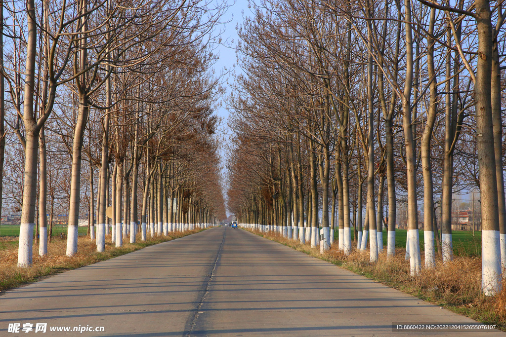 乡村公路美景