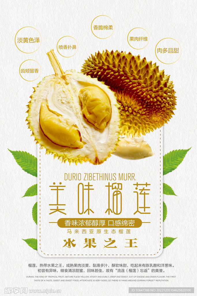 榴莲