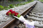铁路上的玫瑰花