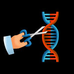 基因编辑人体生物学