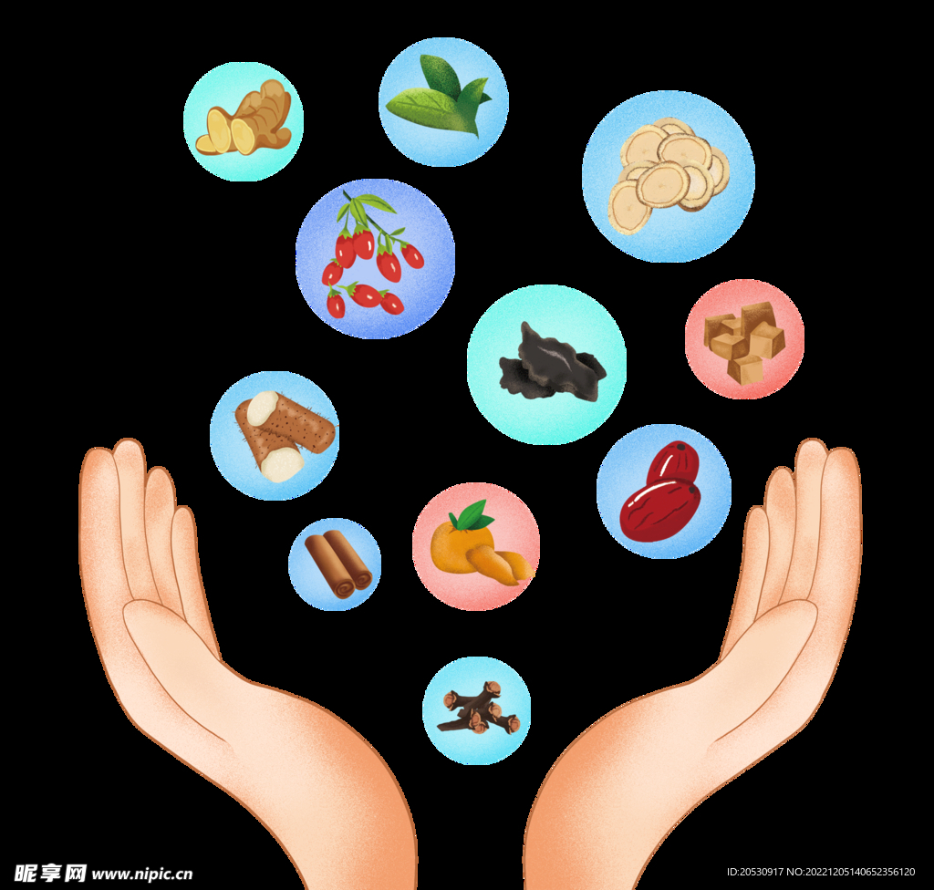 世界传统医药日