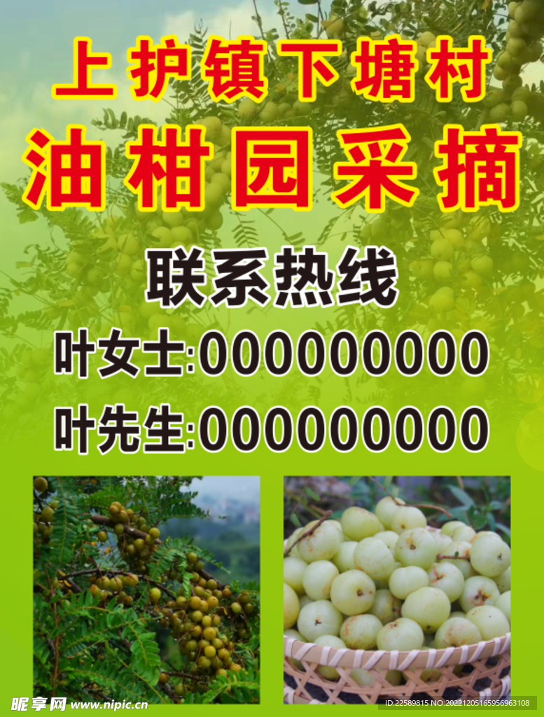 油甘园