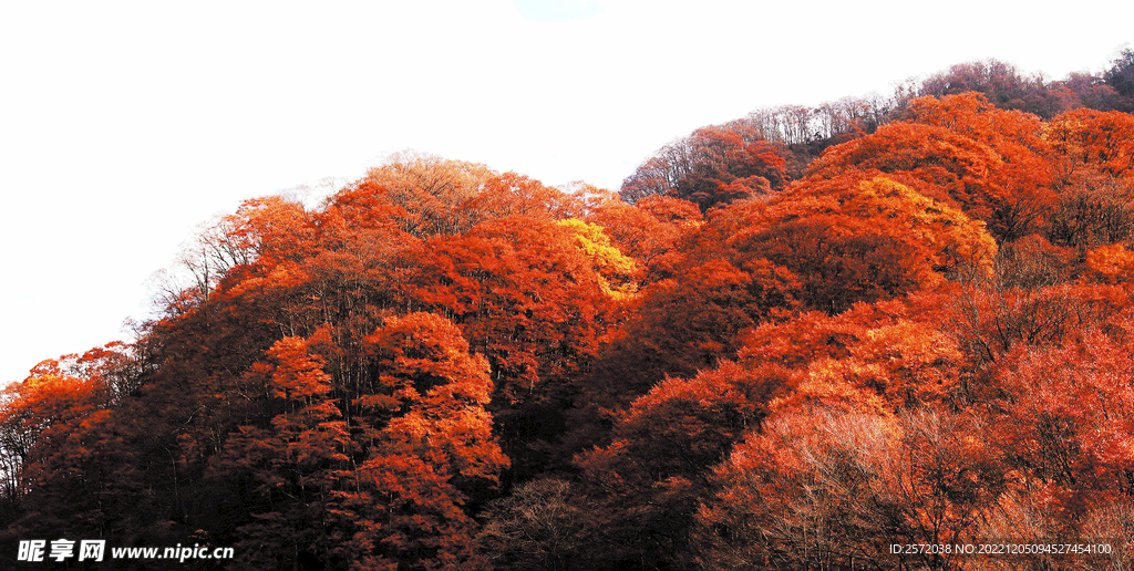 巴中光雾山风光