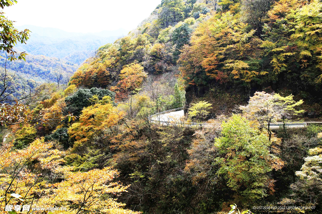 巴中光雾山风光