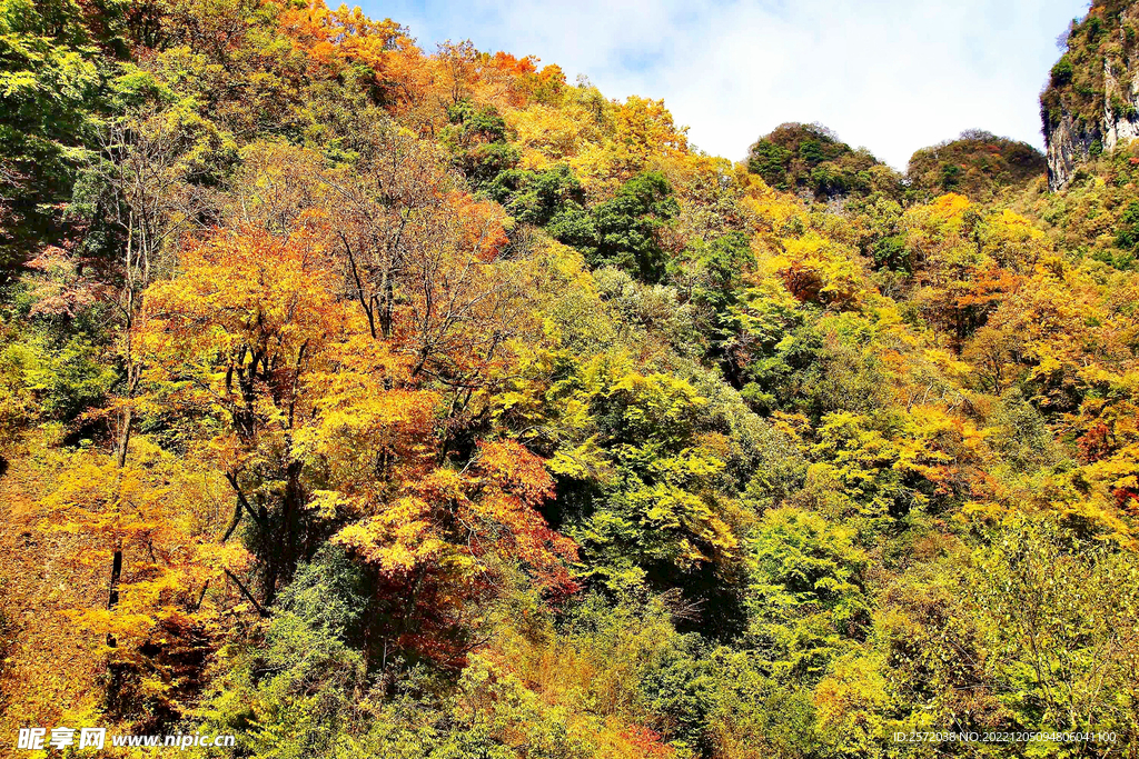 巴中光雾山风光