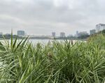 江景