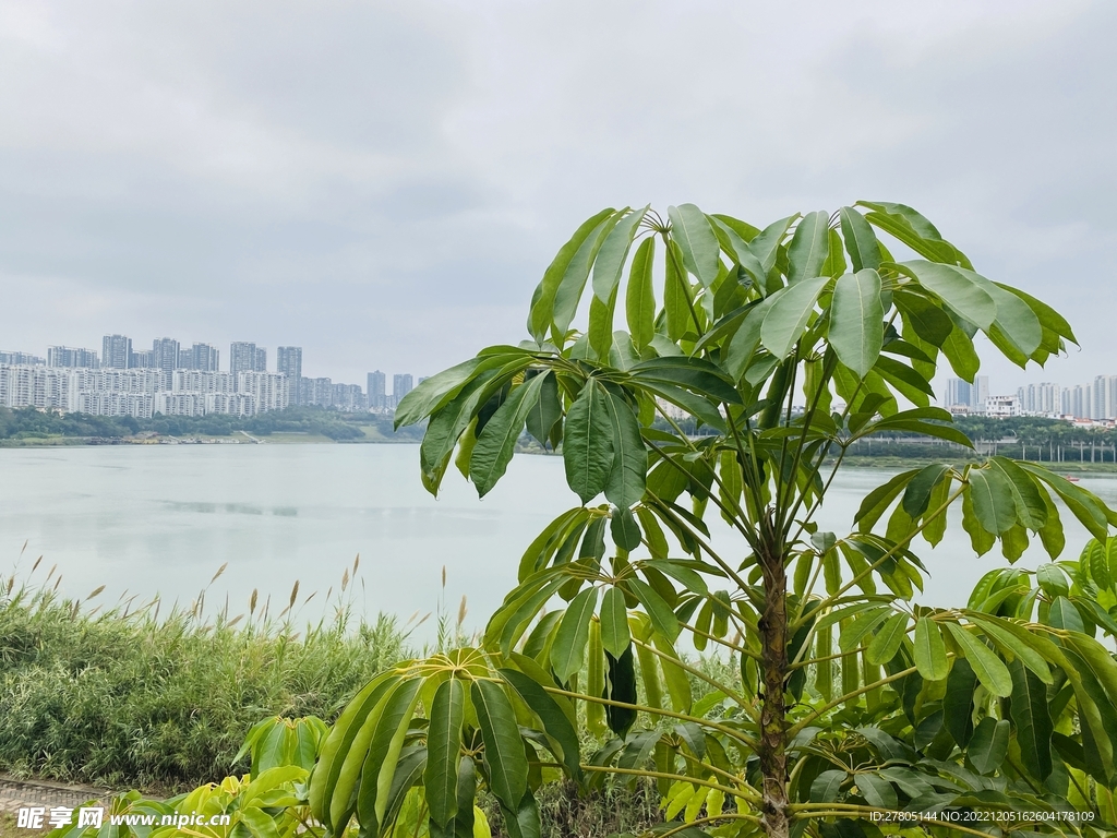 江景