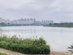 江边风景