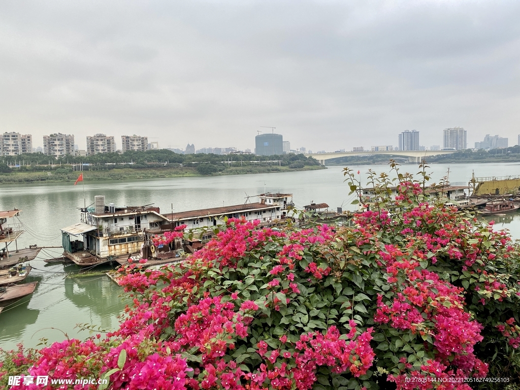 江边风景