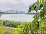 江边风景