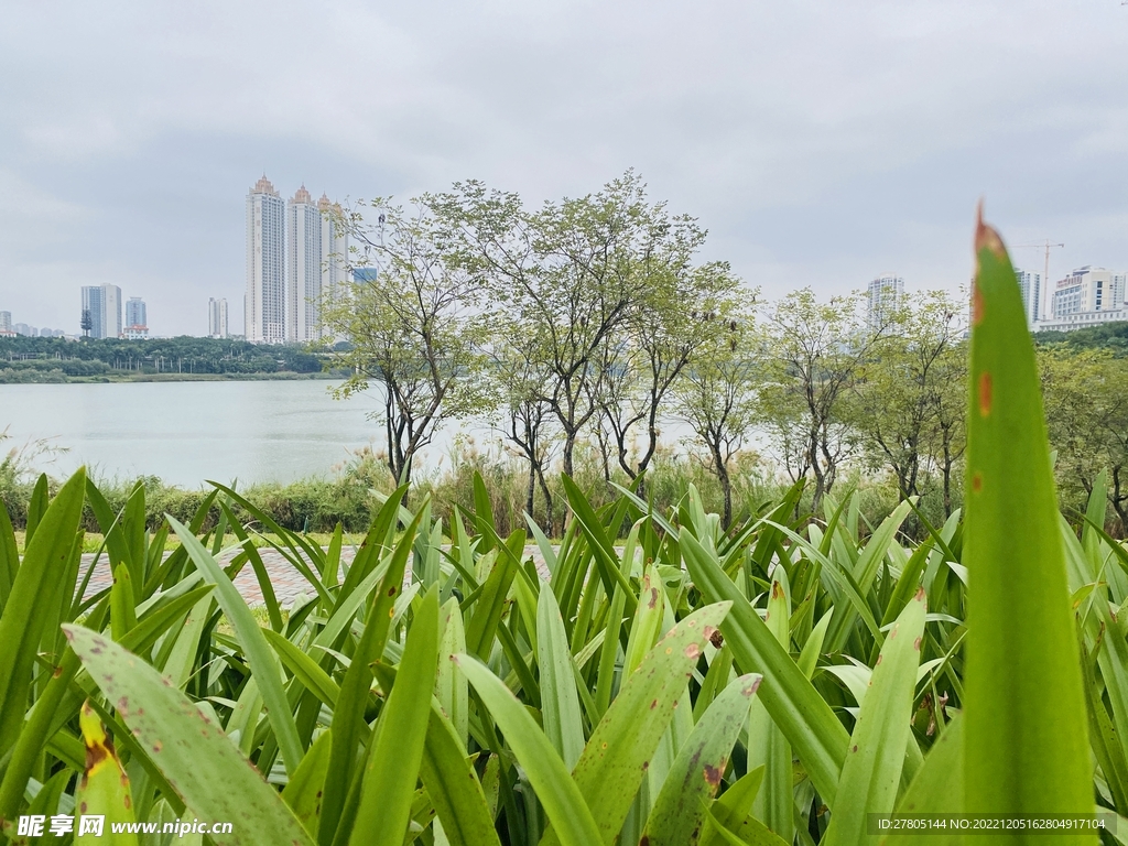 江边风景