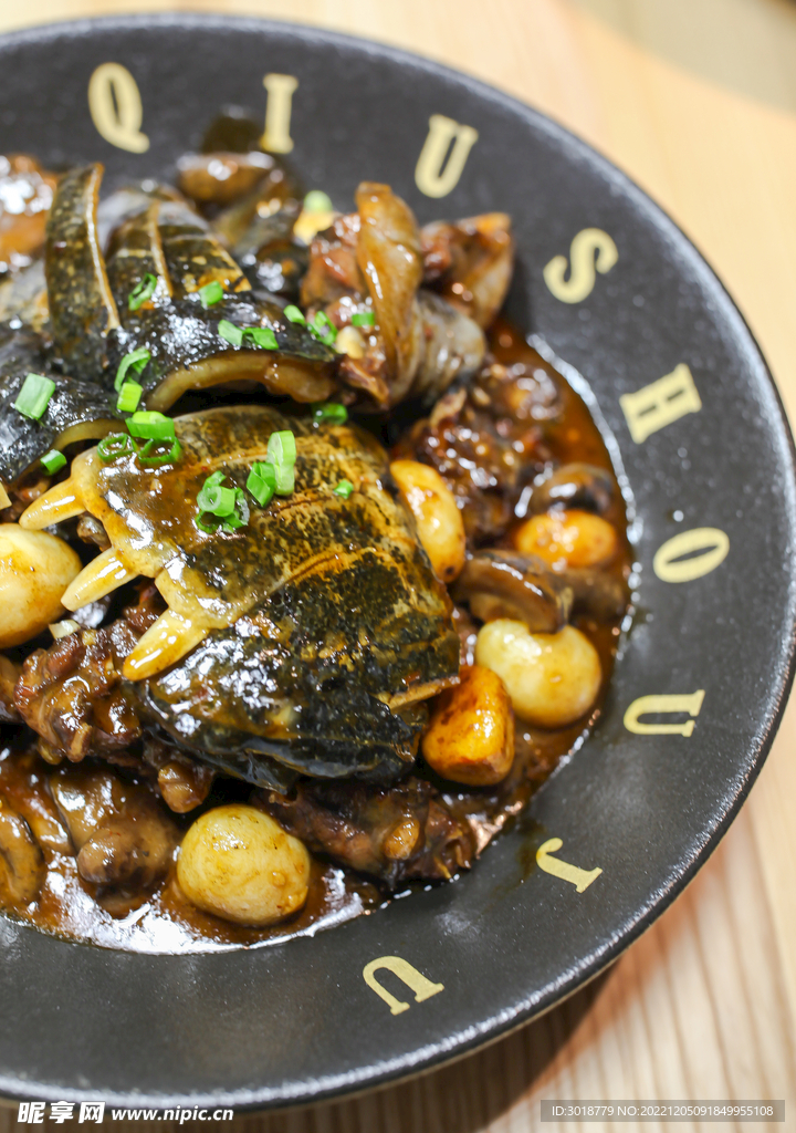 荆沙甲鱼